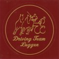 SPONSOR LUGGEN DRIVING TEAM Thanks for the Suport CAI-A Altenfelden and Golden Wheel CUP